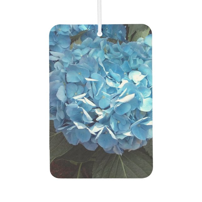 Ambientador Blue Hydrangea Portrait Rectangle Air Freshener (Anverso)