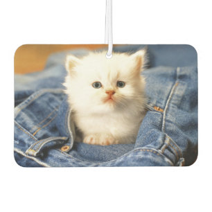 Ambientador Blue Jean Pocket Kitten Air Freshener