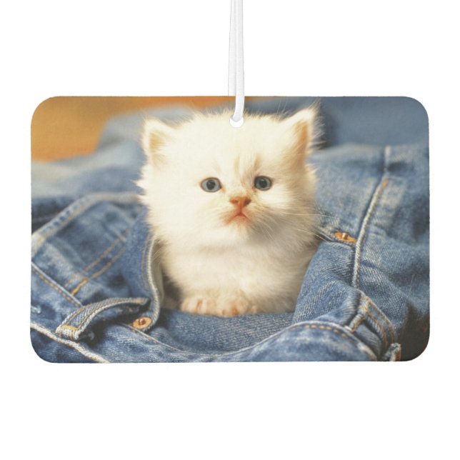 Ambientador Blue Jean Pocket Kitten Air Freshener (Anverso)