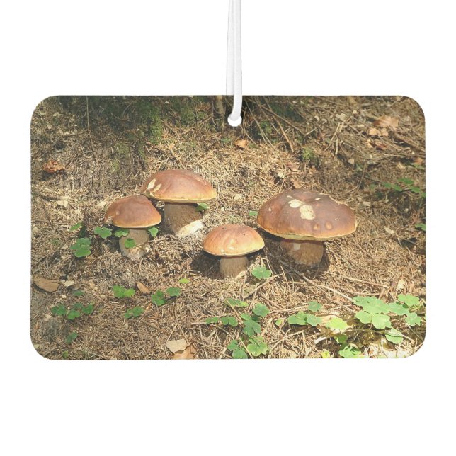 Ambientador boletus (Anverso)