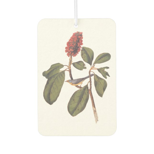 Ambientador Bonaparte Flycatcher Canada Warbler Audubon Bird (Anverso)