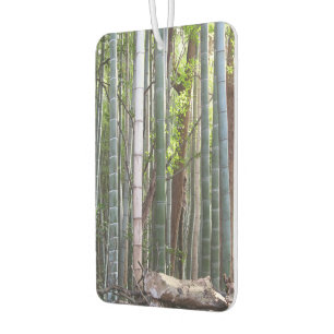 Ambientador Bosque japonés gigante de bambú, Sagano, Kioto, Ja