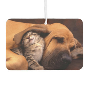 Ambientador Buddies Air Freshener