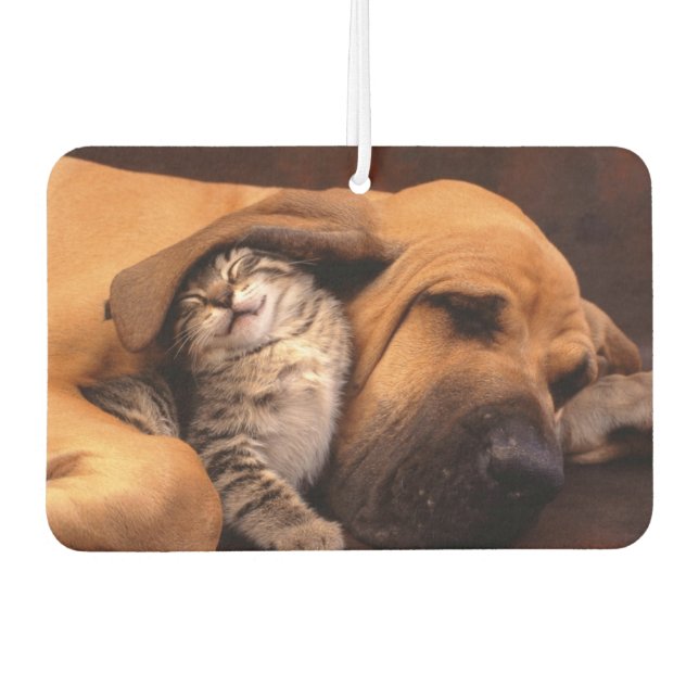 Ambientador Buddies Air Freshener (Anverso)