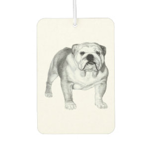 Ambientador Bulldog inglés dibujado a mano