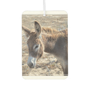 Ambientador Burro adorable