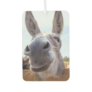 Ambientador Burro sonriente
