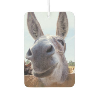 Ambientador Burro sonriente
