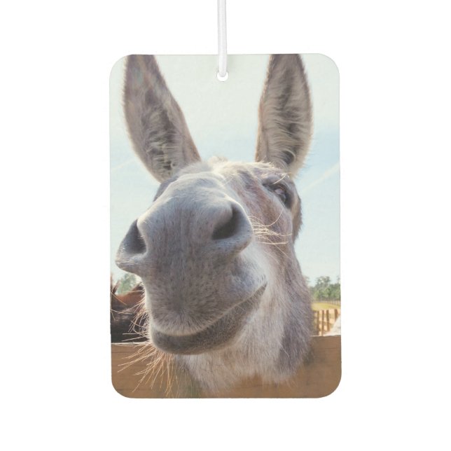 Ambientador Burro sonriente (Anverso)