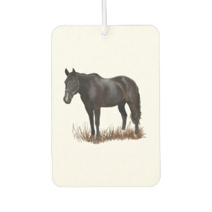Ambientador Caballo