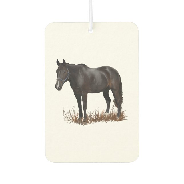 Ambientador Caballo (Anverso)