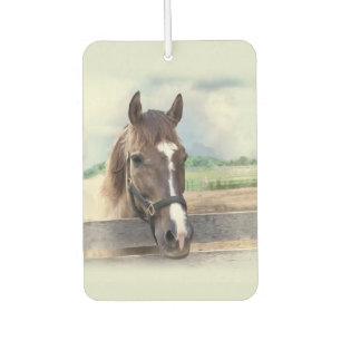 Ambientador Caballo marrón con halter