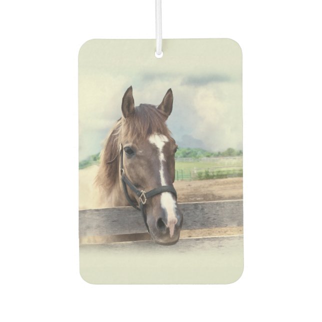 Ambientador Caballo marrón con halter (Anverso)