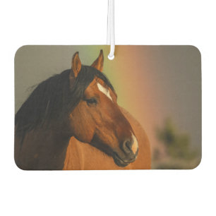 Ambientador Caballo Salvaje, Luz Dorada y Arcoíris