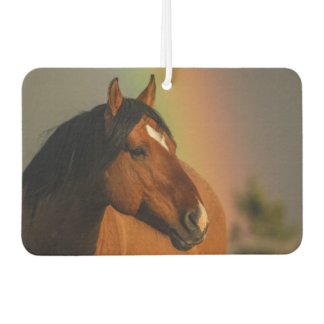 Ambientador Caballo Salvaje, Luz Dorada y Arcoíris (Anverso)