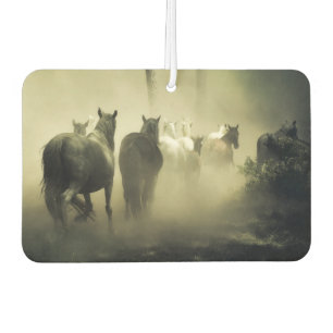 Ambientador Caballos