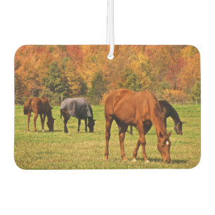 Ambientador Caballos de Air Freshener en otoño