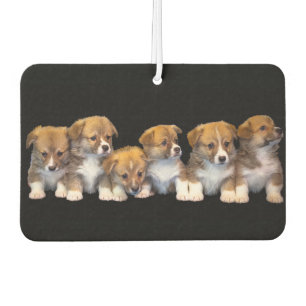 Ambientador Cachorros