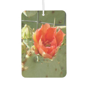 Ambientador Cactus Tough and Beautiful car air freshener
