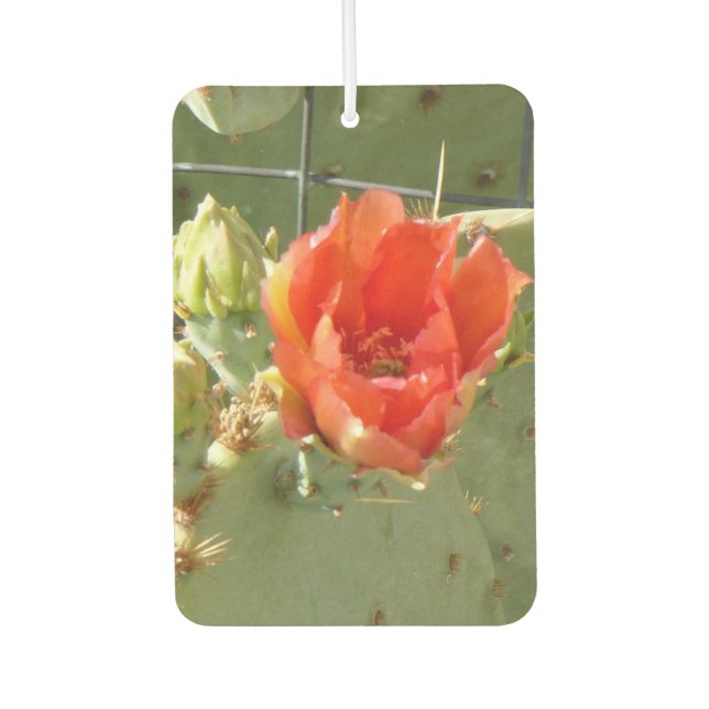Ambientador Cactus Tough and Beautiful car air freshener (Anverso)