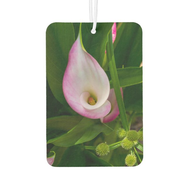 Ambientador Calla Roll (Reverso)