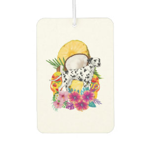 Ambientador Camiseta divertida de verano de Dalmacia