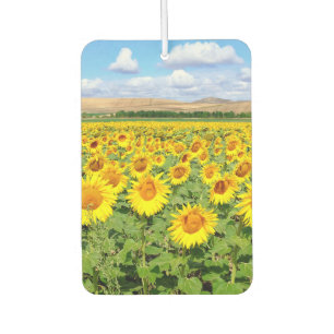 Ambientador Campo de girasol