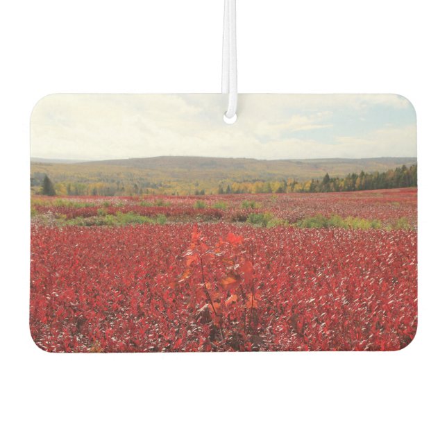 Ambientador Campo Rojo (Anverso)