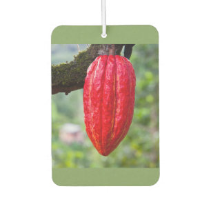 Ambientador caña de cacao