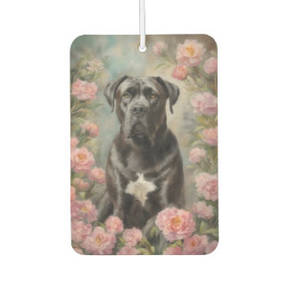 Ambientador Cane Corso
