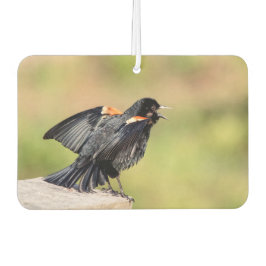 Ambientador Canto de Red Wingbird