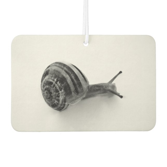 Ambientador Caracol (Anverso)