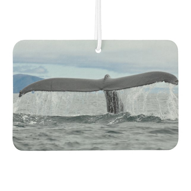 Ambientador Cascada (Anverso)