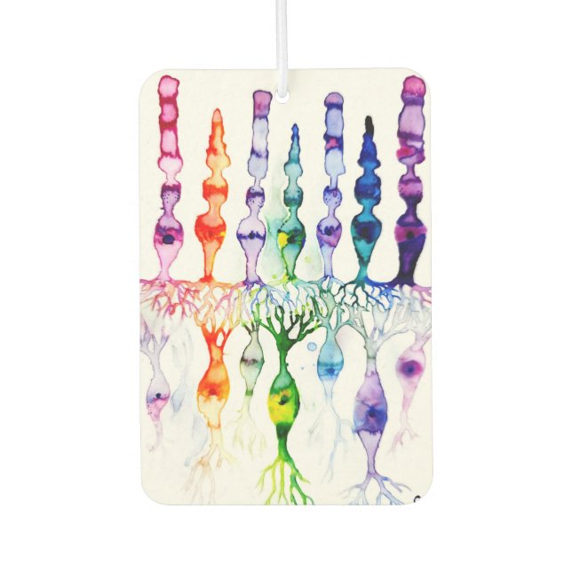 Ambientador Células óseas y neuronas bipolares de la retina (Anverso)