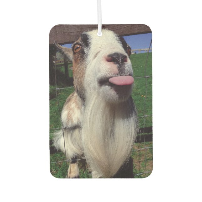 Ambientador Cheeky Goat Air Freshener (Anverso)