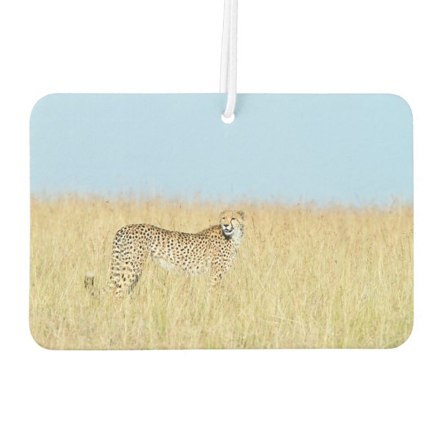Ambientador Cheetah (Reverso)