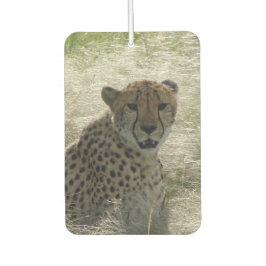 Ambientador Cheetah Air Freshener