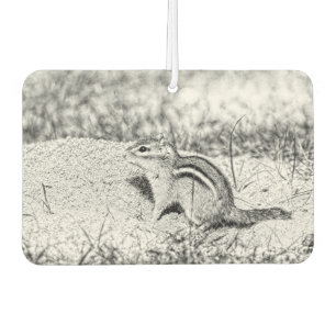 Ambientador Chipmunk Sketch