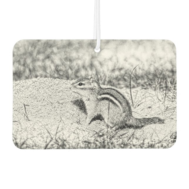 Ambientador Chipmunk Sketch (Anverso)