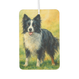 Ambientador Collie de frontera