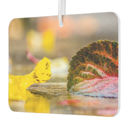 Ambientador Colores de caída