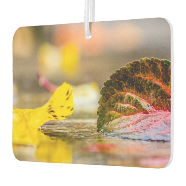 Ambientador Colores de caída (Izquierda)