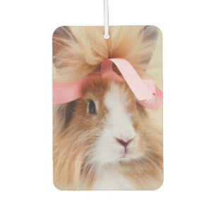 Ambientador Conejo conejo conejito fluffy Lionhead