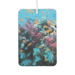 Ambientador Coral rosa con pescado Naranja