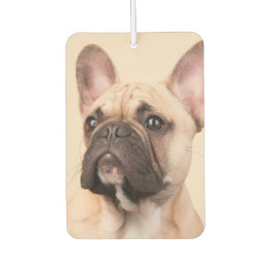 Ambientador Crea tu propia foto de mascota personalizada