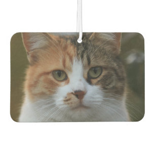 Ambientador Crea tu propia foto personalizada de tu gato como