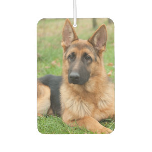 Ambientador Crea tu propia foto personalizada de tu mascota