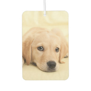 Ambientador Crea tu propia foto personalizada de tu mascota