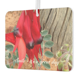 Ambientador Crea tu propio filtro de aire