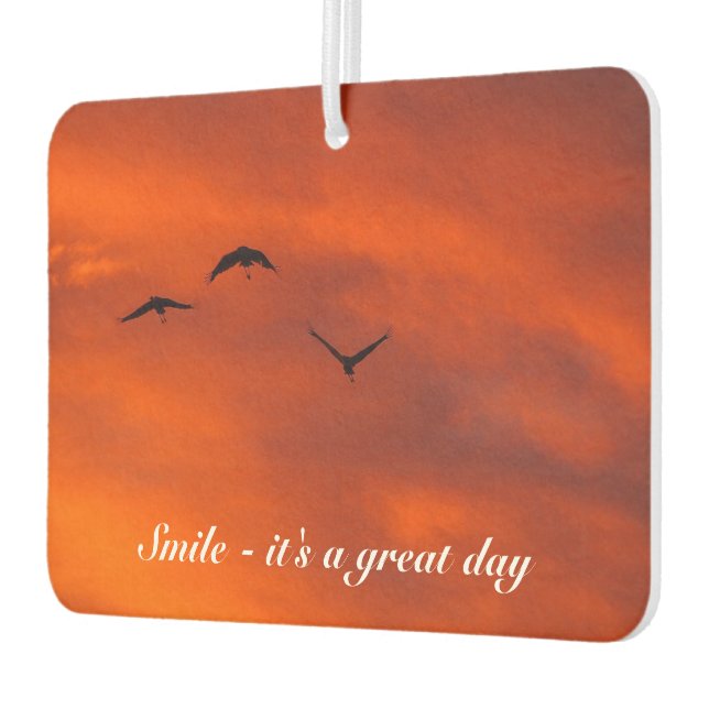 Ambientador Crea tu propio filtro de aire (Izquierda)